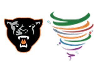 iBall Schools Tournament